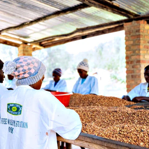 Rwanda Ngera Anaerobic
