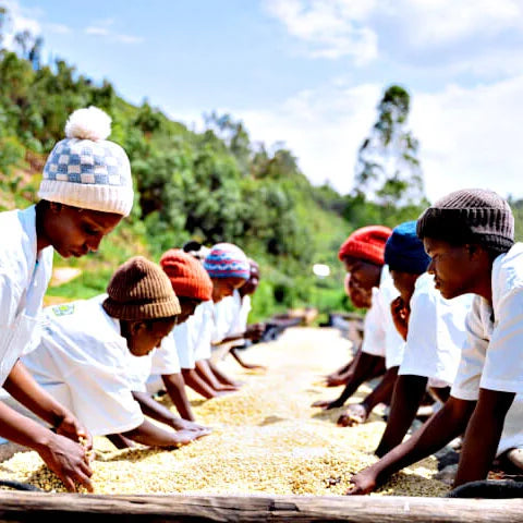 Rwanda Ngera Anaerobic