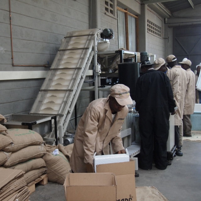 Kenya Kianyangi – PAVEMENT COFFEE ROASTERY